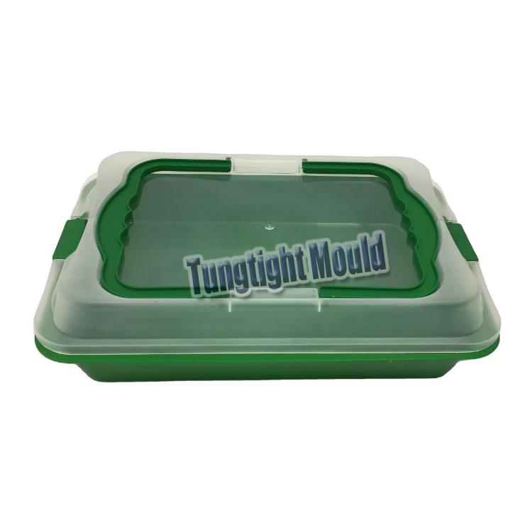 Plastic gift box mould