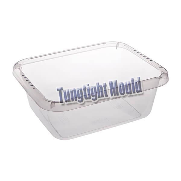 plastic fruit container mould