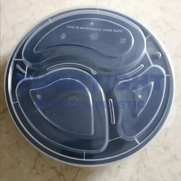 plastic thin wall mould