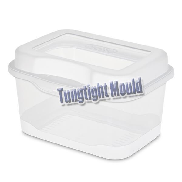 plastic storage box mould