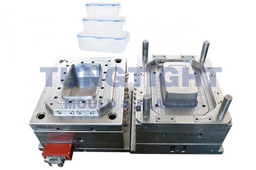 fresh box mould