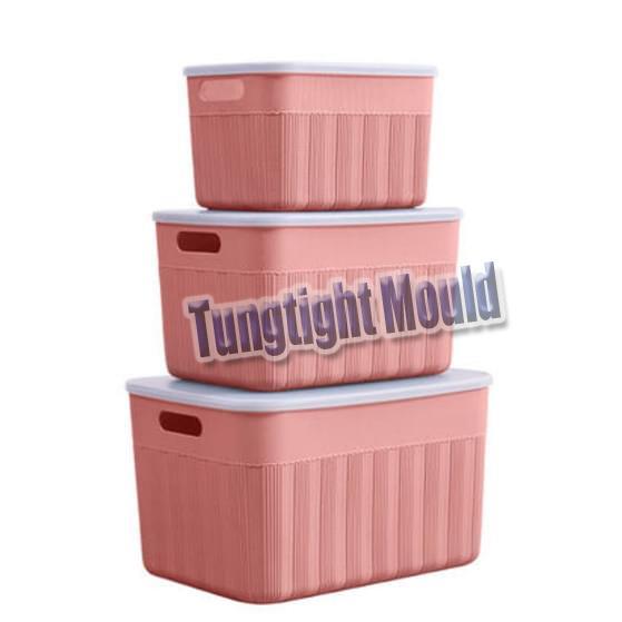 China Storage Clothes mold box