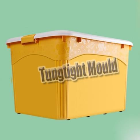 China Storage box mould