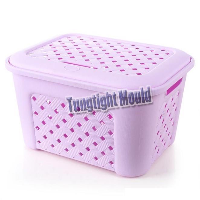 China Foldable Container Mould