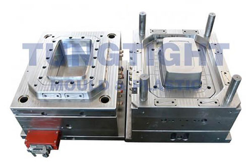 fresh box mould